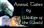 Animal Tubes by Wildlife of the World